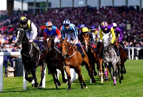 SBK Betting Zone.